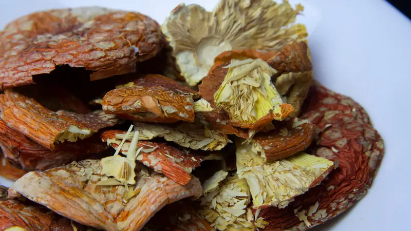 Сушеные грибы Сушеные грибы