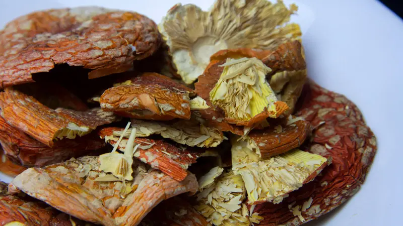 Сушеные мухоморы Сушеные мухоморы