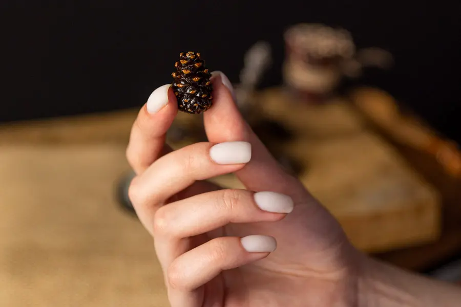 Плоды для варенья из сосновой шишки Плоды для варенья из сосновой шишки