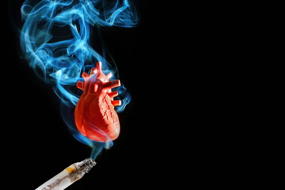 Вредные привычки Вредные привычки