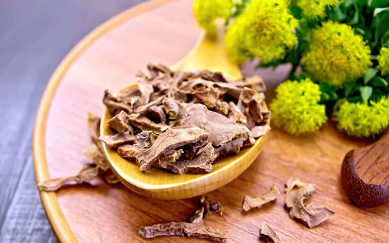 Сушеные корни Родиолы Розовой Сушеные корни Родиолы Розовой