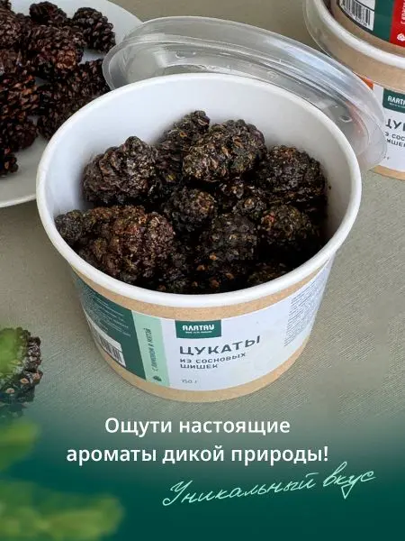 Цукаты из сосновых шишек с лимоном и мятой, 150 гр Цукаты из сосновых шишек с лимоном и мятой, 150 гр