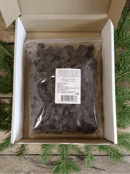 Цукаты из сосновых шишек 1 кг Цукаты из сосновых шишек 1 кг