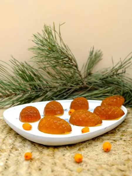 Мармелад ягодный Облепиховый, 110 гр Мармелад ягодный Облепиховый, 110 гр