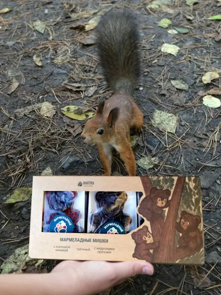 Подарочный набор мармелада «Три медведя» 3 шт Подарочный набор мармелада «Три медведя» 3 шт