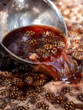 Варенье из сосновых шишек с кедровым орехом, 1 л Варенье из сосновых шишек с кедровым орехом, 1 л