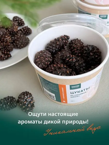 Цукаты из сосновых шишек с копченой паприкой, 150 гр Цукаты из сосновых шишек с копченой паприкой, 150 гр