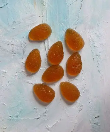 Мармелад ягодный Облепиховый, 110 гр (дисплей) Мармелад ягодный Облепиховый, 110 гр (дисплей)