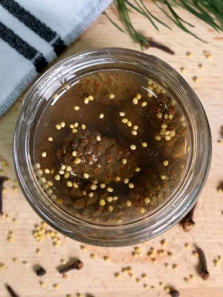 Каперсы из сосновых шишек маринованные с пряностями, 200 мл Каперсы из сосновых шишек маринованные с пряностями, 200 мл