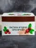 Пастила без сахара ягодная брусничная 900 гр Пастила без сахара ягодная брусничная 900 гр