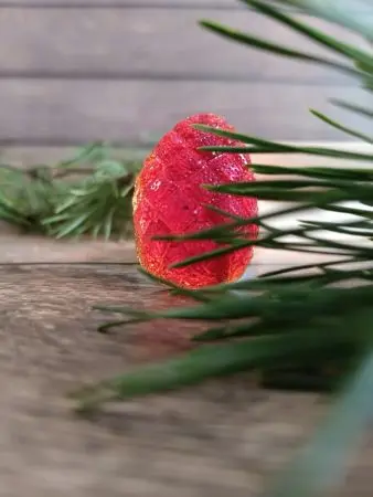 Мармелад ягодный Брусничка, 1кг Мармелад ягодный Брусничка, 1кг