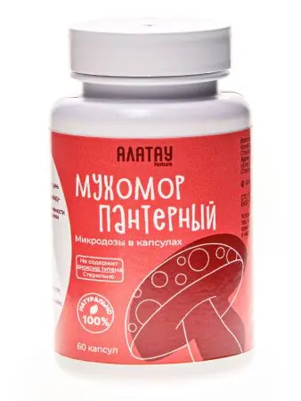 КОМБО из 2 видов мухоморов: микродозинг красный и пантерный КОМБО из 2 видов мухоморов: микродозинг красный и пантерный