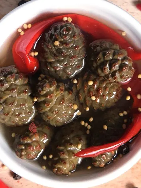 Каперсы из сосновых шишек маринованные с красным перцем, 200 мл Каперсы из сосновых шишек маринованные с красным перцем, 200 мл