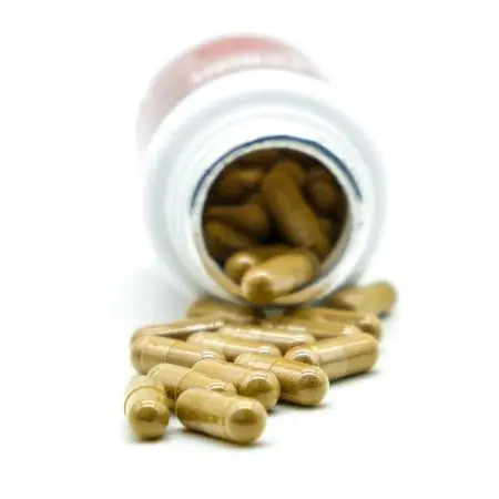 Рейши ЭКСТРАКТ 400мг, 60 капсул Рейши ЭКСТРАКТ 400мг, 60 капсул